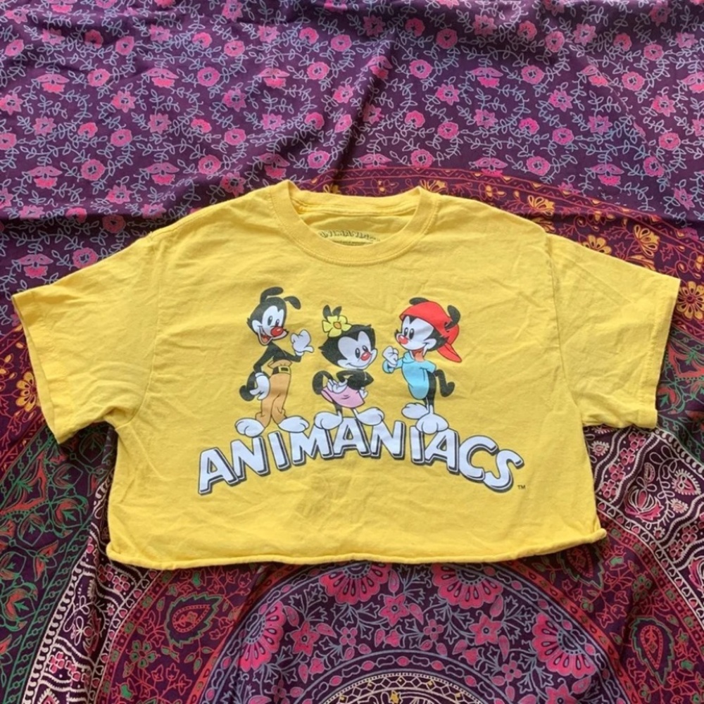 Cropped Animaniacs Graphic T Shirt